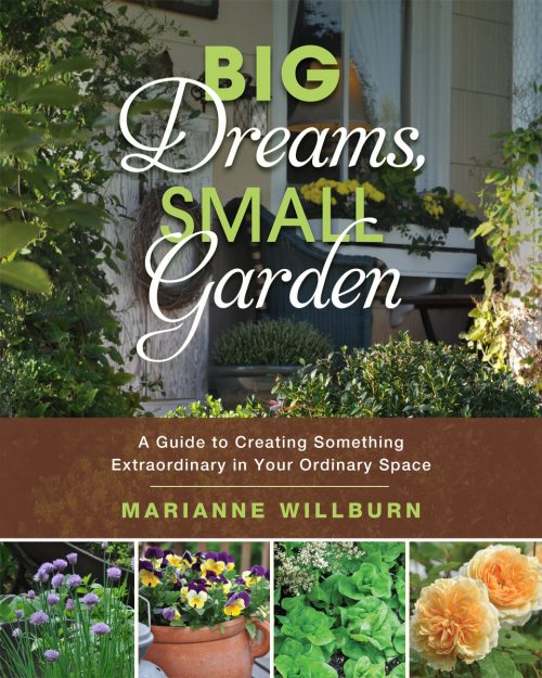 Big Dreams Small Garden
